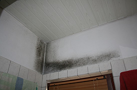 Schaden 1
